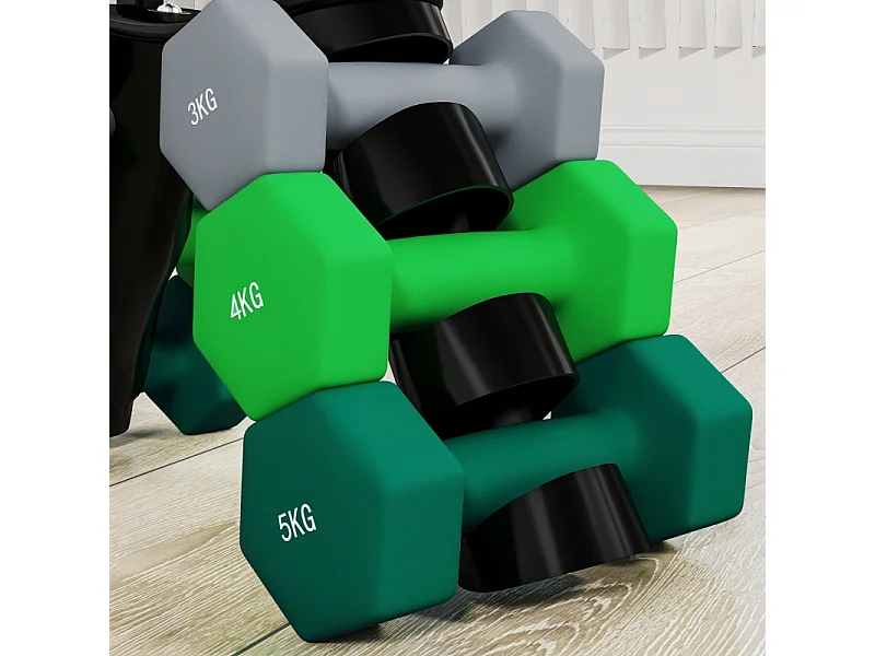 Juego de mancuernas hexagonales, 6 piezas con soporte, de metal, multicolor (42x10x30 cm)