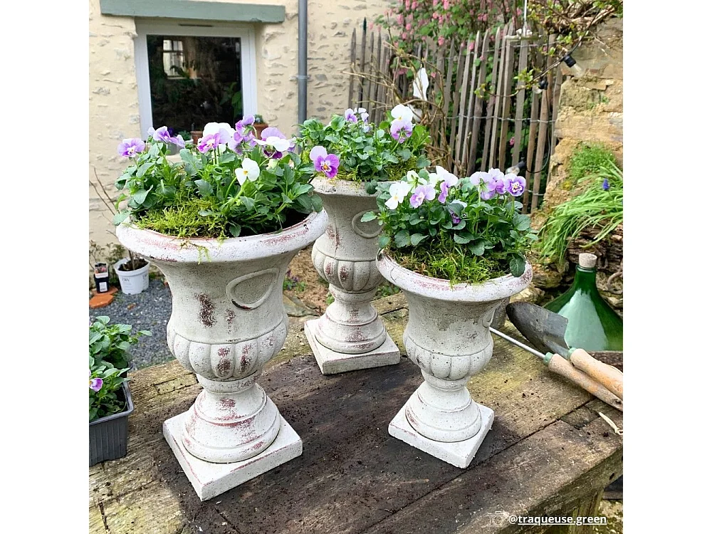 Vase médicis jardin vasque style pierre béton blanc motif vieilli 30cm