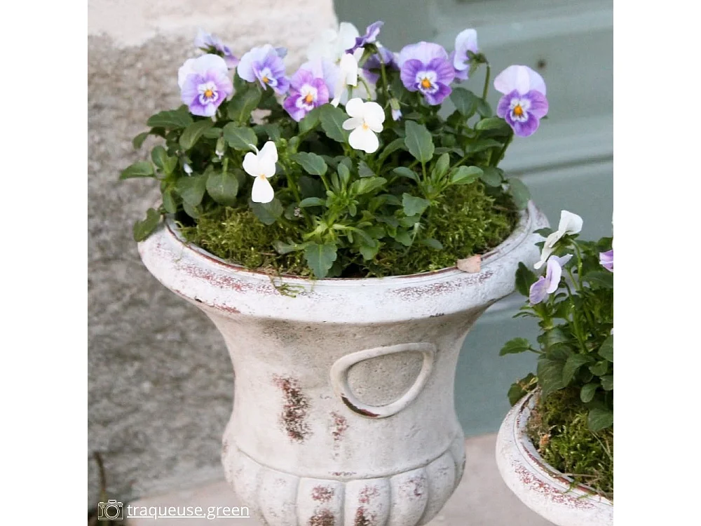 Vase médicis jardin vasque style pierre béton blanc motif vieilli 24cm