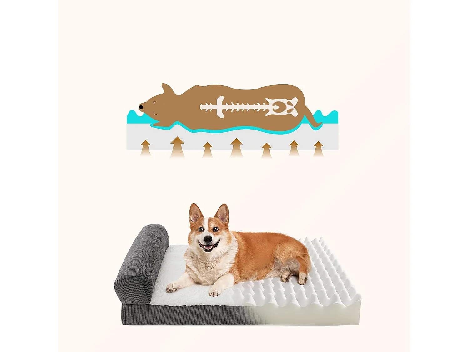 Lit orthopédique pour chien, canapé ergonomique pour chien avec mousse en forme d'œuf, lavable et antidérapant pour l'intérieur et l'extérieur (M 75 * 50 * 20cm)