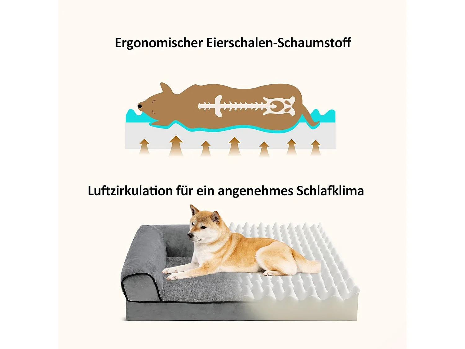 Lit pour chien, canapé orthopédique pour chien, canapé avec mousse ergonomique en forme d'œuf, lavable et antidérapant (L 76 * 51 * 18CM)