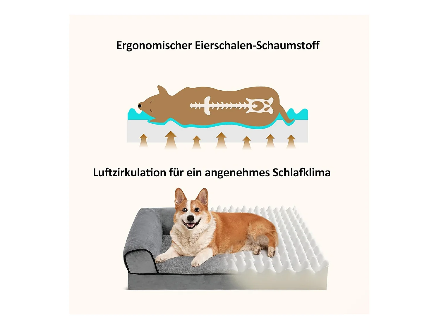 Lit pour chien, canapé orthopédique pour chien, canapé avec mousse ergonomique en forme d'œuf, lavable et antidérapant (M 50 * 40 * 18CM)