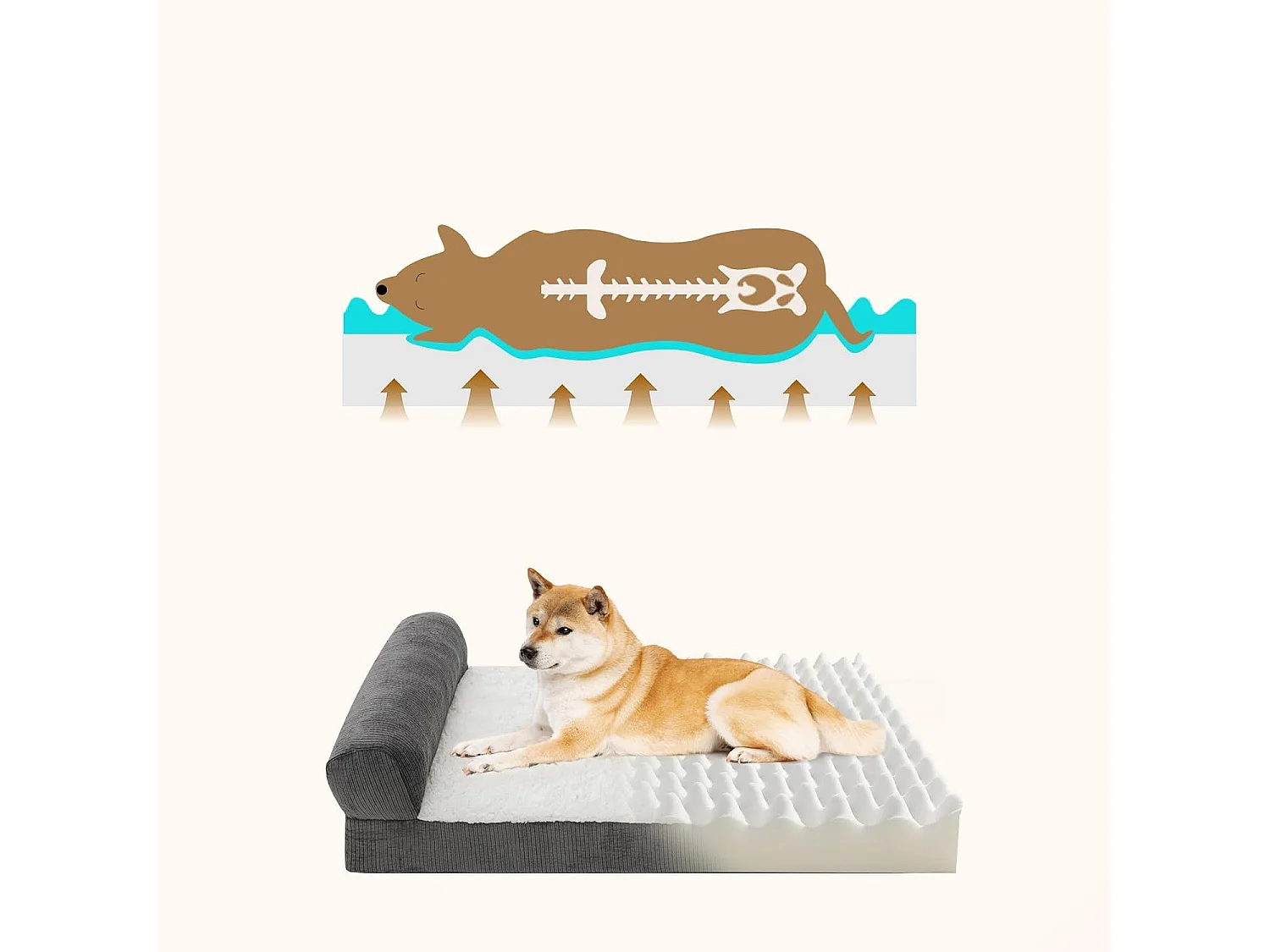 Lit orthopédique pour chien, canapé ergonomique pour chien avec mousse en forme d'œuf, lavable et antidérapant pour l'intérieur et l'extérieur (L 90 * 56 * 20cm)