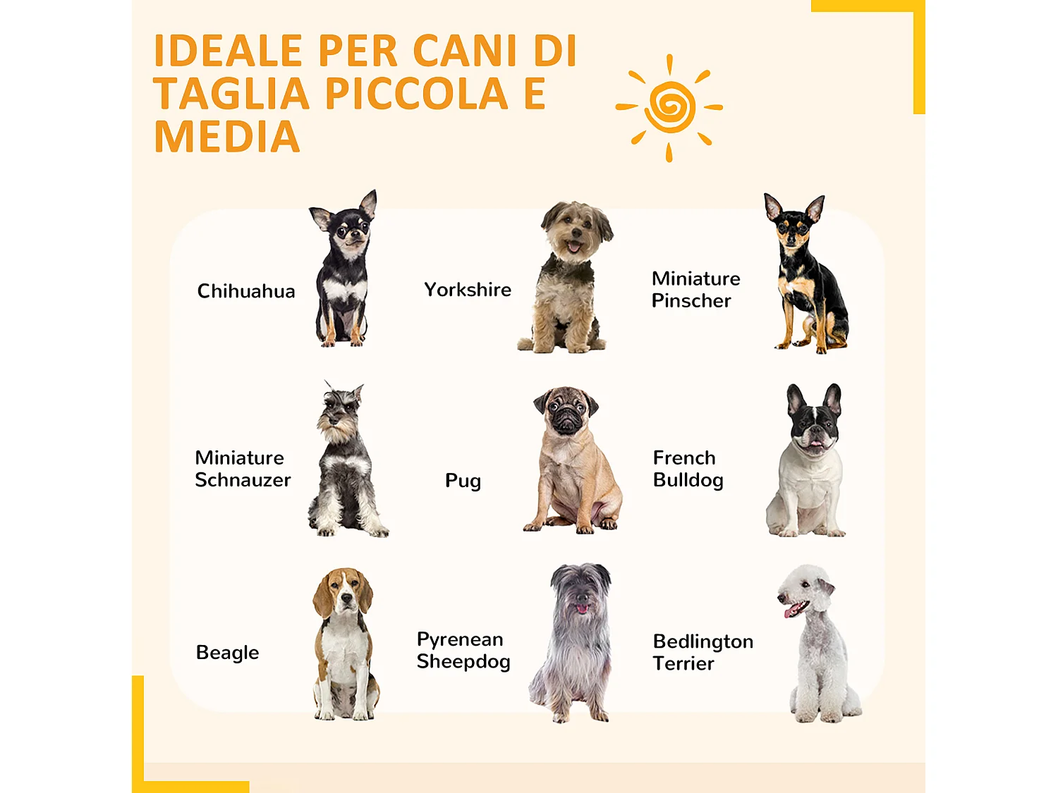 Recinto per cani a 6 pannelli modulabili in acciaio nero