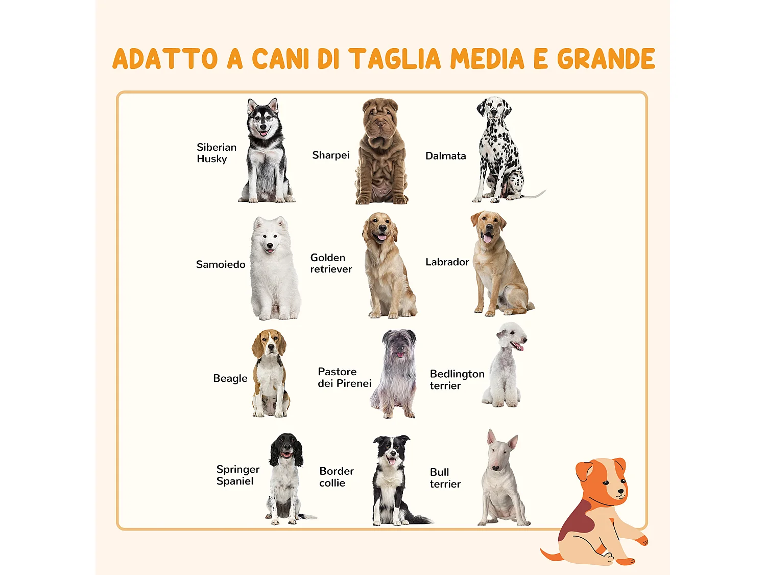 Cancellino per cani taglia media e grande a 6 pannelli pieghevoli nero