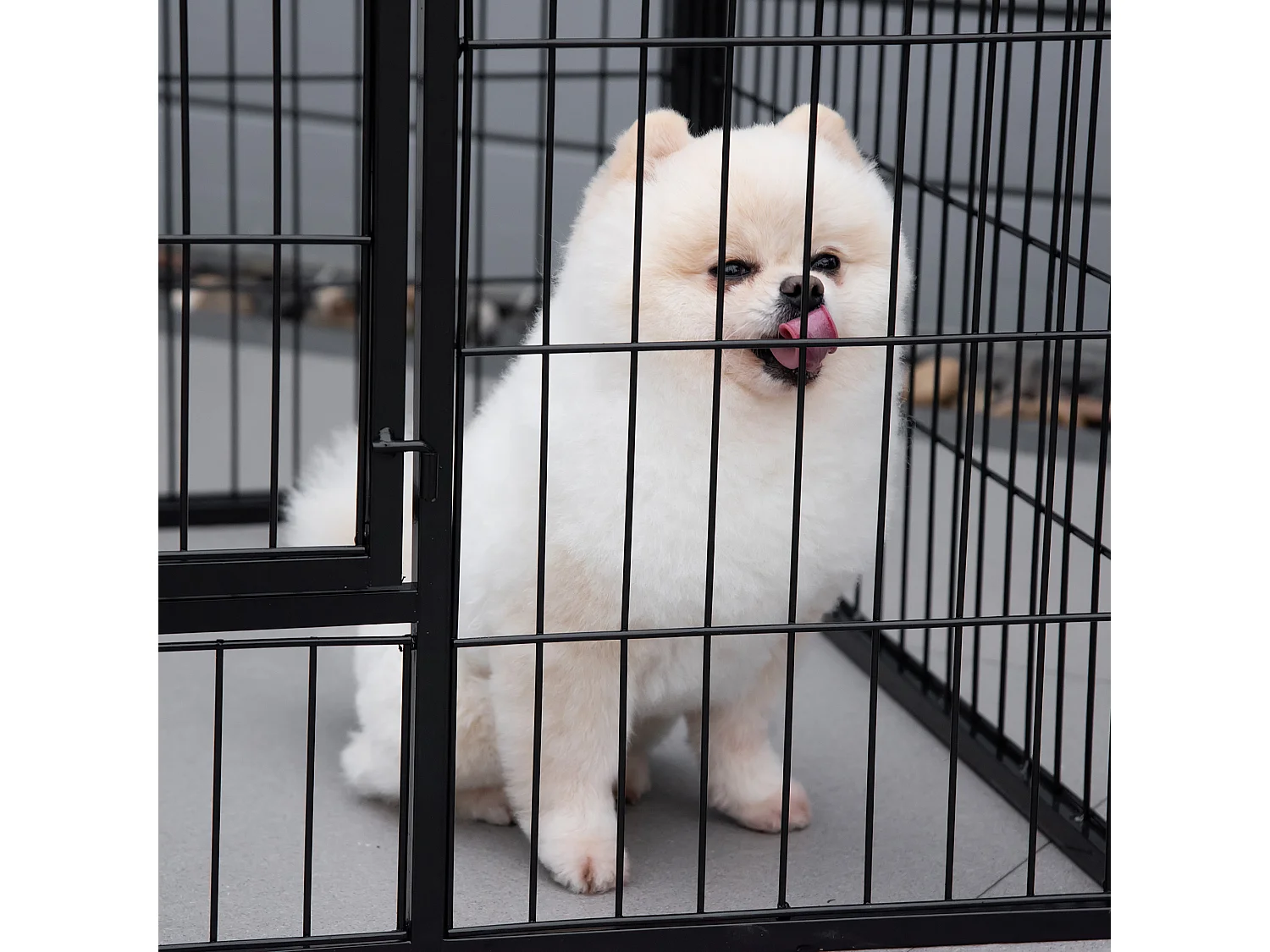 Recinto per cani e gatti kennel in metallo pieghevole con porta 8 pezzi