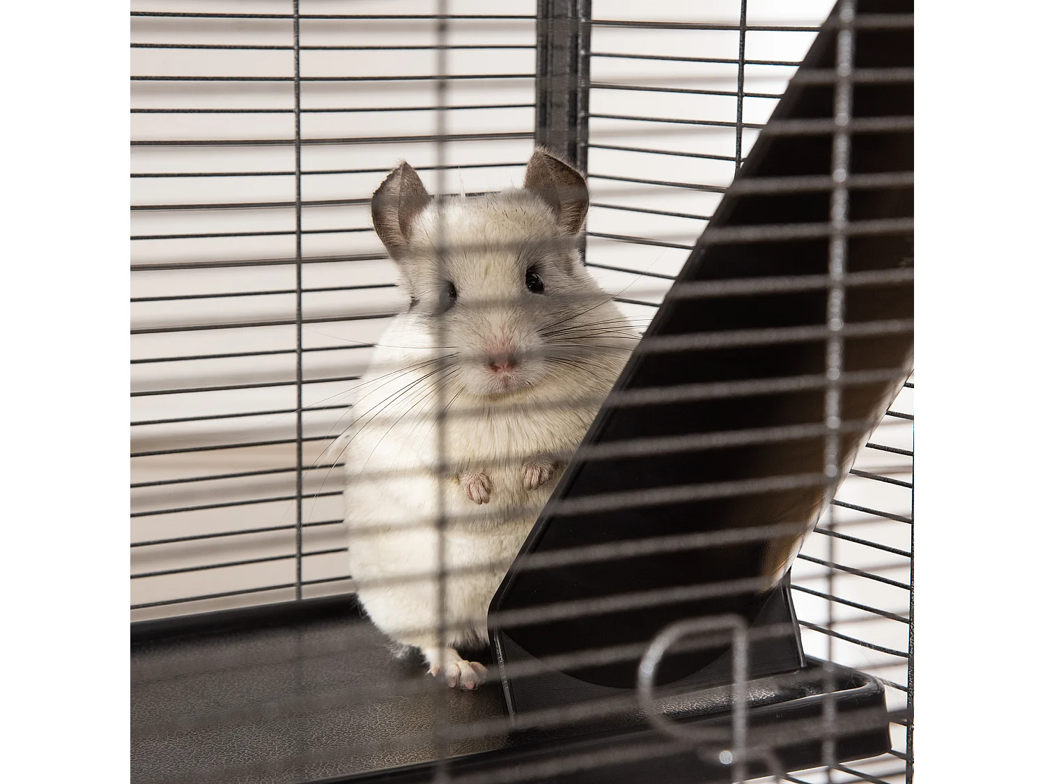 Gabbia acciaio per roditori, 3 piani, 4 ruote, amaca e vassoio rimovibile