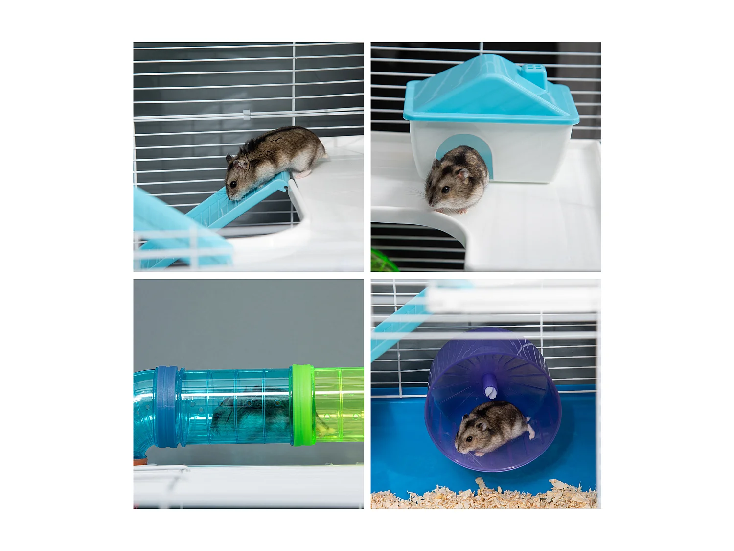 Gabbia per criceti a 5 livelli in acciaio e plastica blu e bianca