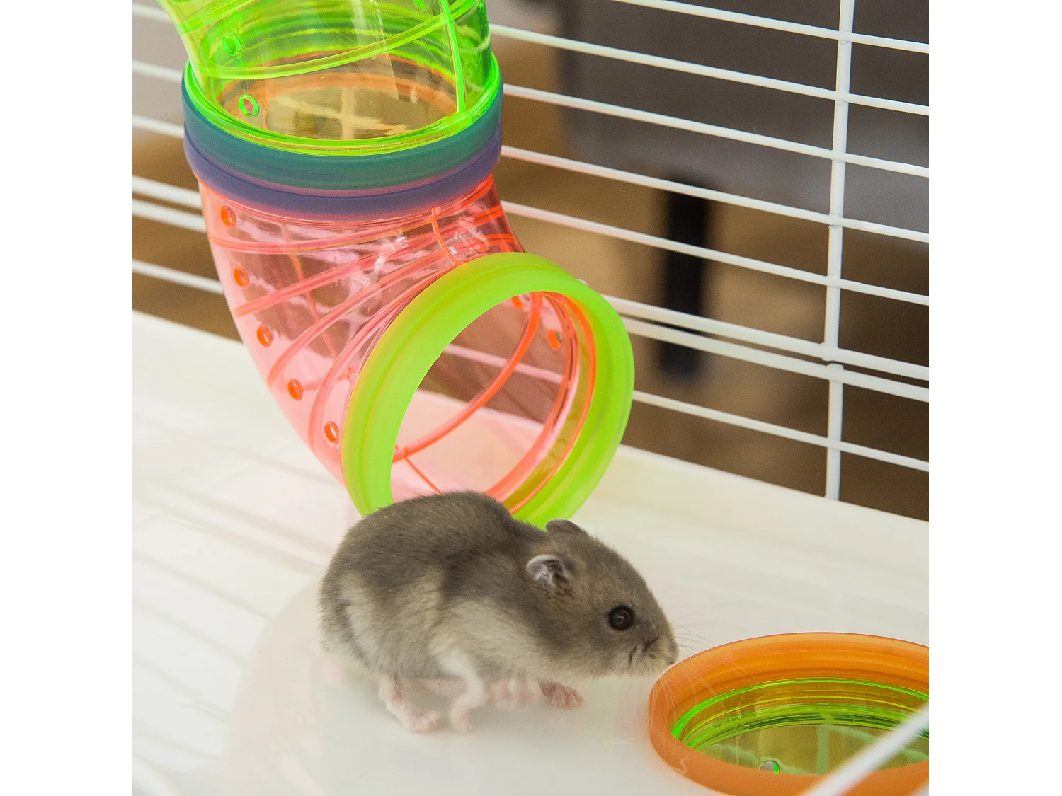 Gabbia per criceti 5 livelli con tubi casetta e ruota azzurra e bianca