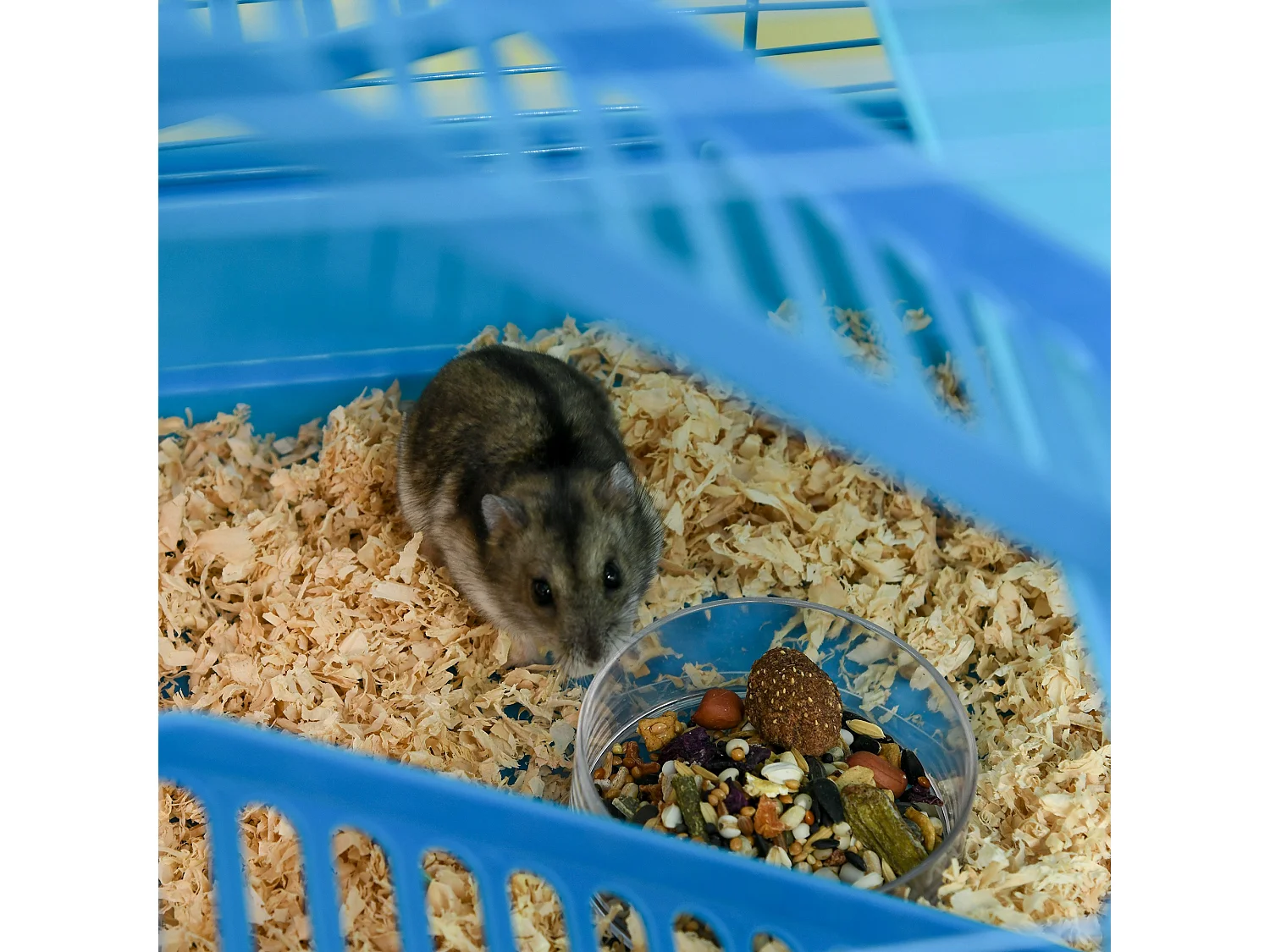 Gabbia per criceti e roditori con tubi colorati e accessori inclusi