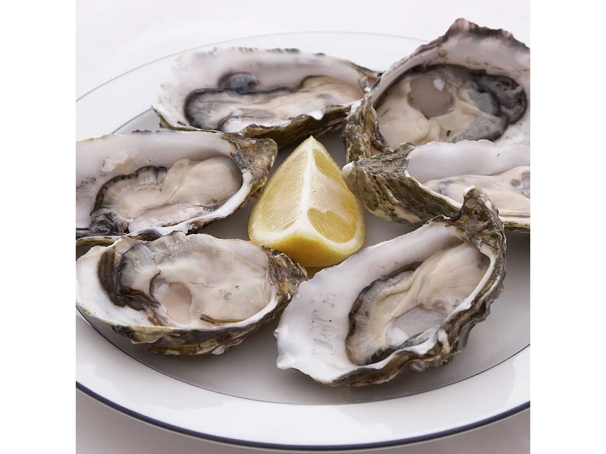 Coffret Spécial Huîtres - OSTRA