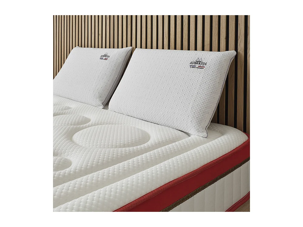 Lot de 2 Oreillers Malva ergonomique - 60 x 40 cm