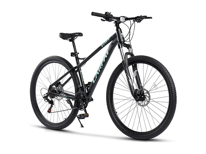 VTT 29 pouces avec transmission 21 vitesses, freins à disque hydrauliques, cadre aluminium Hardtail, noir (146x76x20cm)