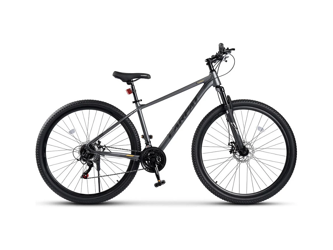 Mountain bike hardtail da 29 pollici con sospensioni da 100 mm, telaio in lega di alluminio, trasmissione a 21 velocità, freni a disco, grigio (145x74x19,5 cm)