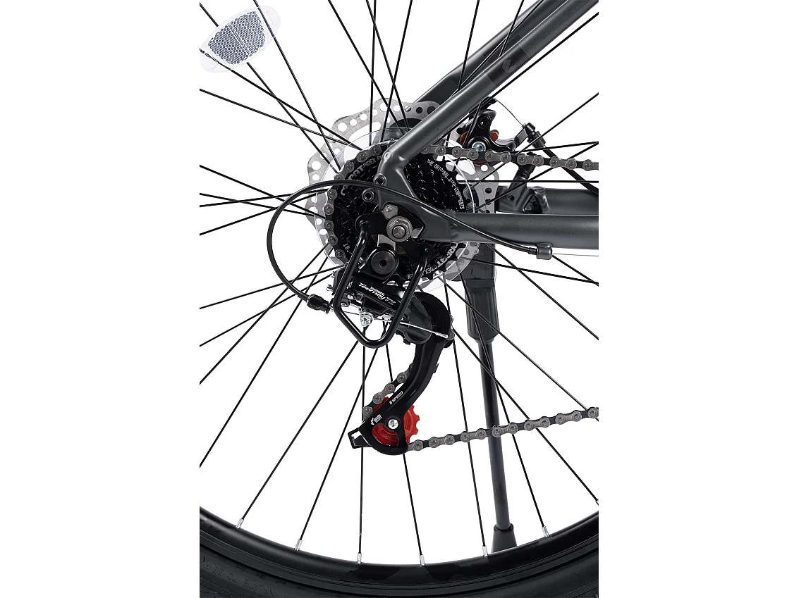 Mountain bike hardtail da 29 pollici con sospensioni da 100 mm, telaio in lega di alluminio, trasmissione a 21 velocità, freni a disco, grigio (145x74x19,5 cm)