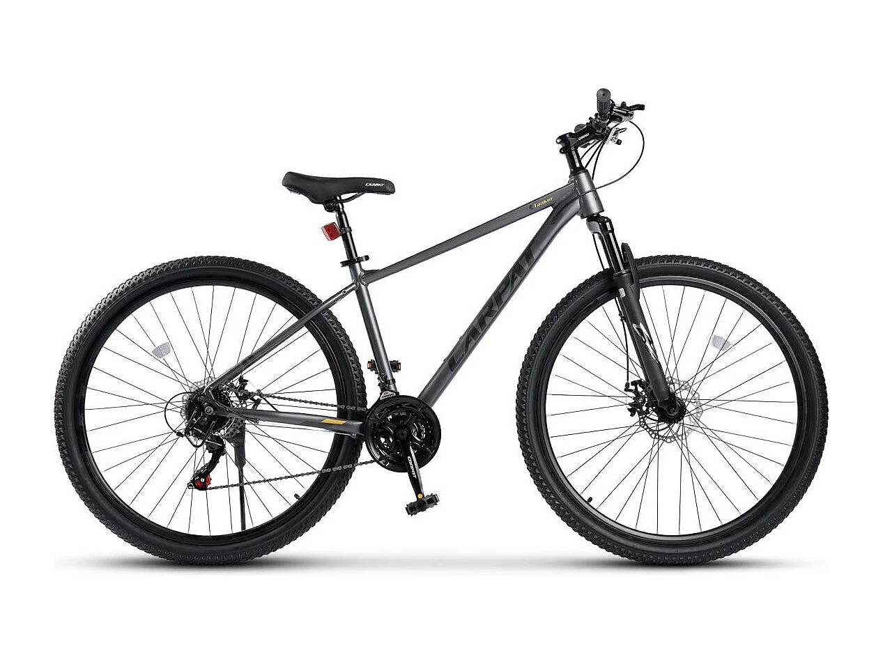Vélo tout-terrain 29 pouces Hardtail avec suspension 100mm, cadre en alliage d'aluminium, transmission 21 vitesses, freins à disque, gris (145x74x19.5cm)