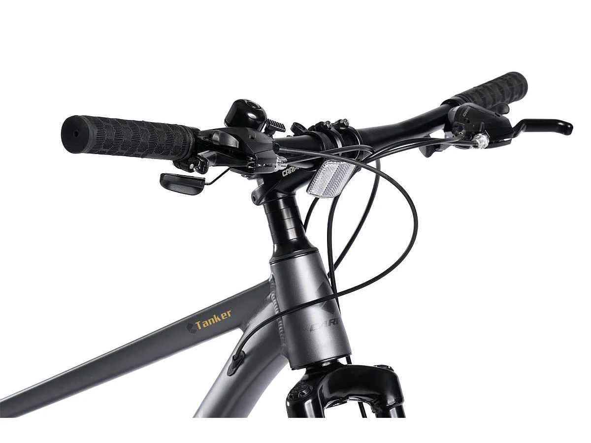 Vélo tout-terrain 29 pouces Hardtail avec suspension 100mm, cadre en alliage d'aluminium, transmission 21 vitesses, freins à disque, gris (145x74x19.5cm)