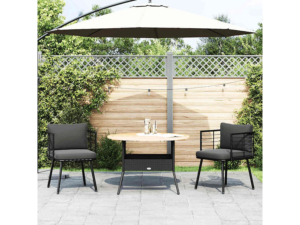 Chaises de jardin lot de 2 avec coussins noir résine tressée