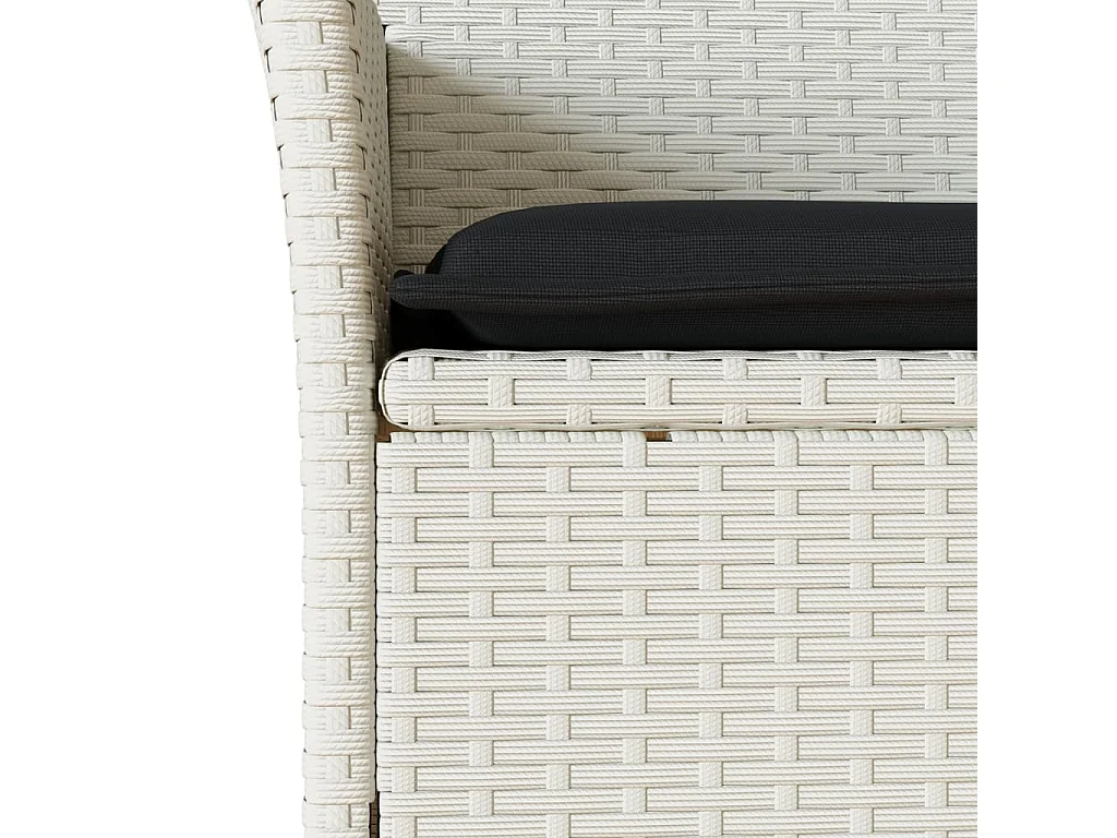 Tuinstoelen met kussens, set van 2, wit, geweven hars