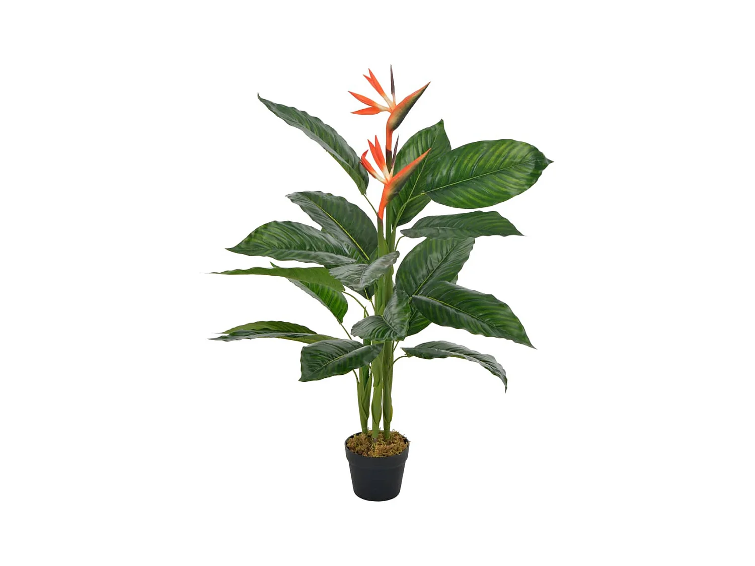 Plante artificielle Strelitzia avec pot Rouge 100 cm