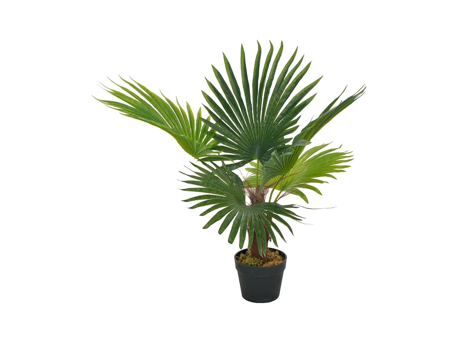 Pianta artificiale con vaso Palma Verde 70 cm