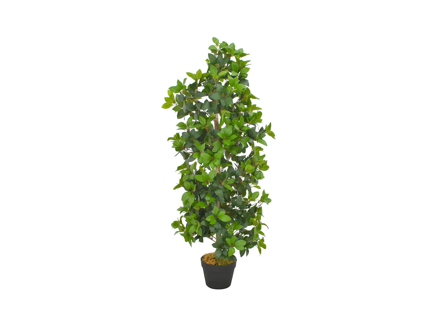 Pianta artificiale con vaso Alloro Verde 120 cm