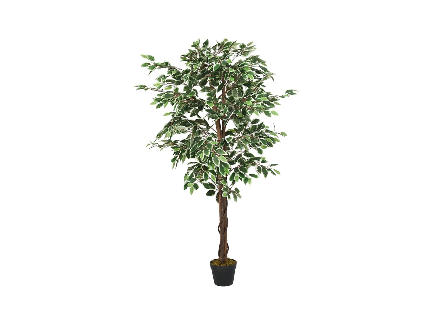 Ficus artificiale 1008 foglie 180 cm verde