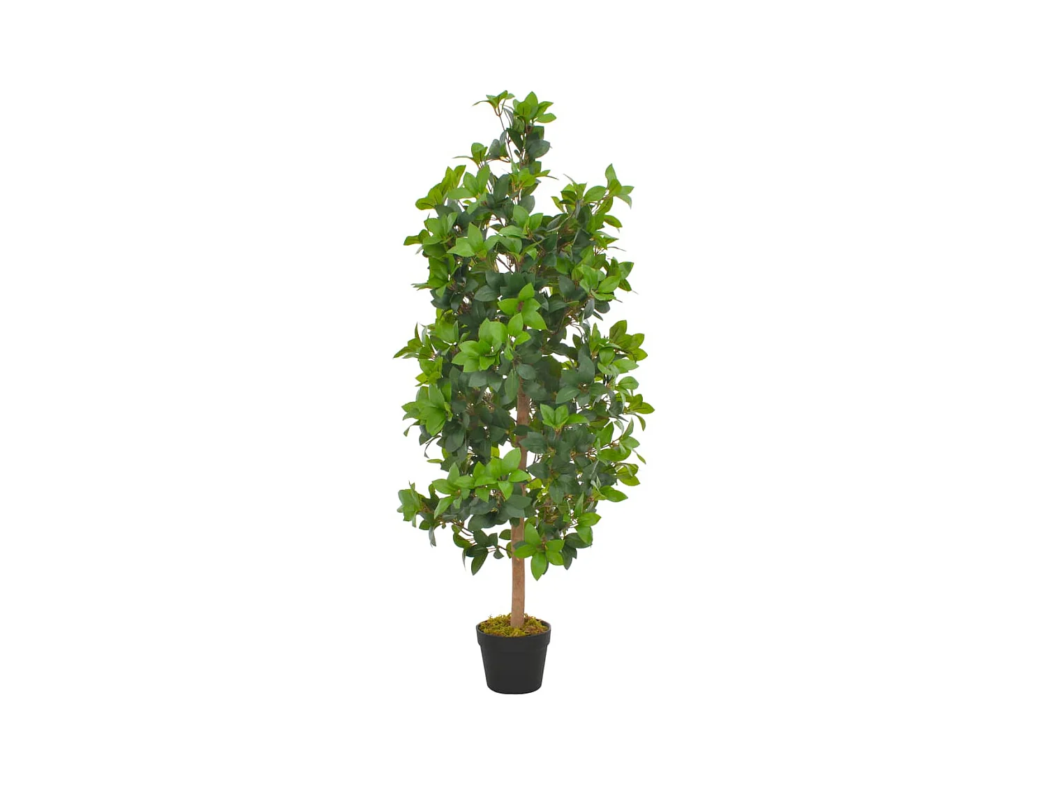 Pianta artificiale con vaso Alloro Verde 120 cm