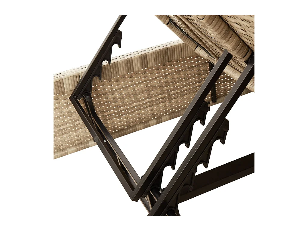 Dubbele chaise longue met beige kunsthars rieten kussens