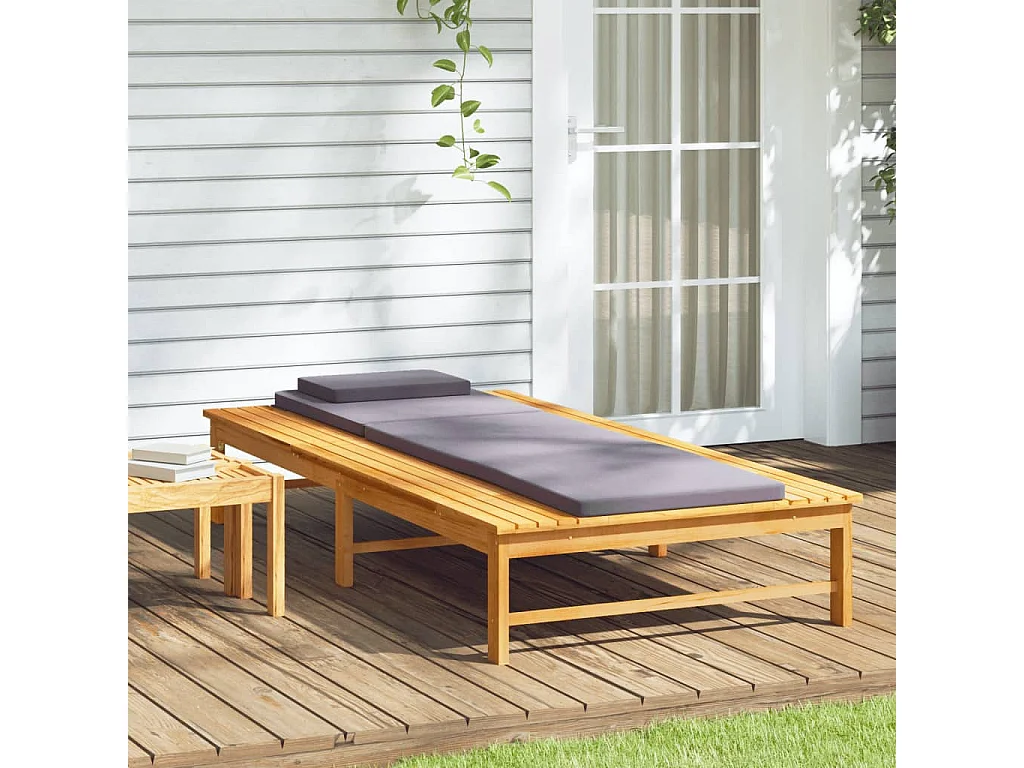 Chaise longue gris oscuro y cojín/almohada en madera maciza de acacia