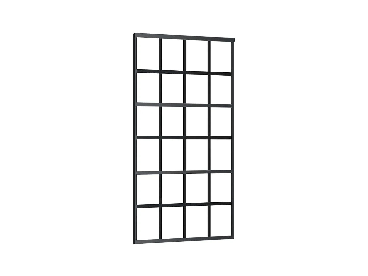 Porte coulissante kit de quincaillerie noir 102x205cm verre ESG