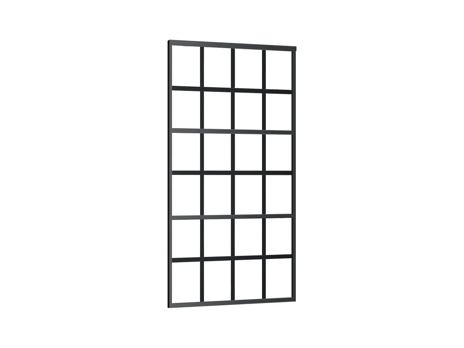 Schuifdeur en hang- en sluitwerk Glas en aluminium 102x205cm