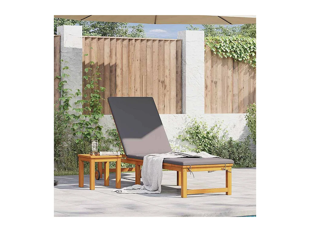 Transat 1-personne Marron 53 x 202 x 89cm Bois d'acacia massif