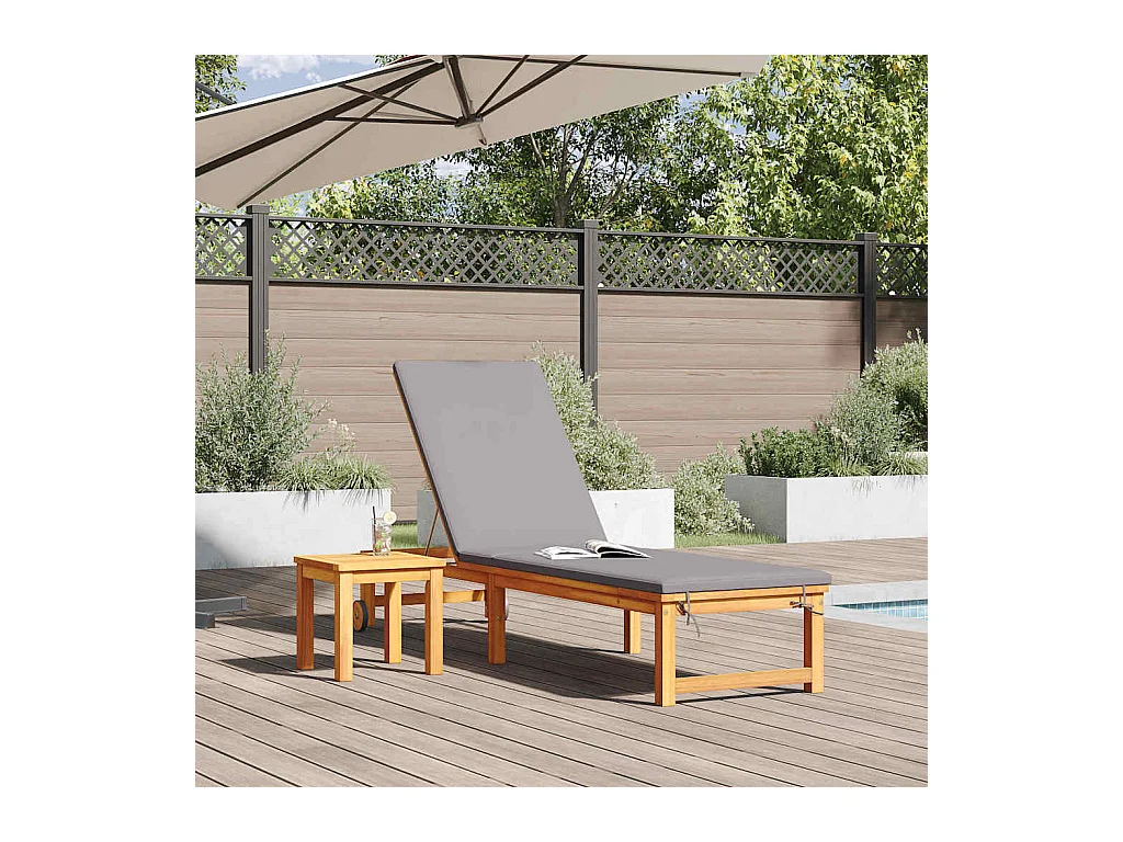 Transat 1-personne Marron 53 x 202 x 89cm Bois d'acacia massif