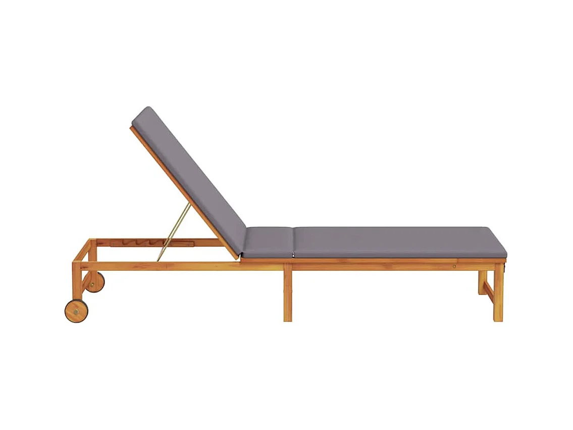 Transat 1-personne Marron 53 x 202 x 89cm Bois d'acacia massif