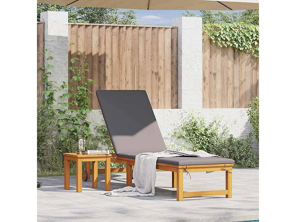 Transat 1-personne Marron 53 x 202 x 89cm Bois d'acacia massif