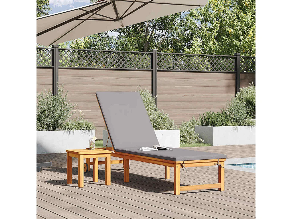 Transat 1-personne Marron 53 x 202 x 89cm Bois d'acacia massif