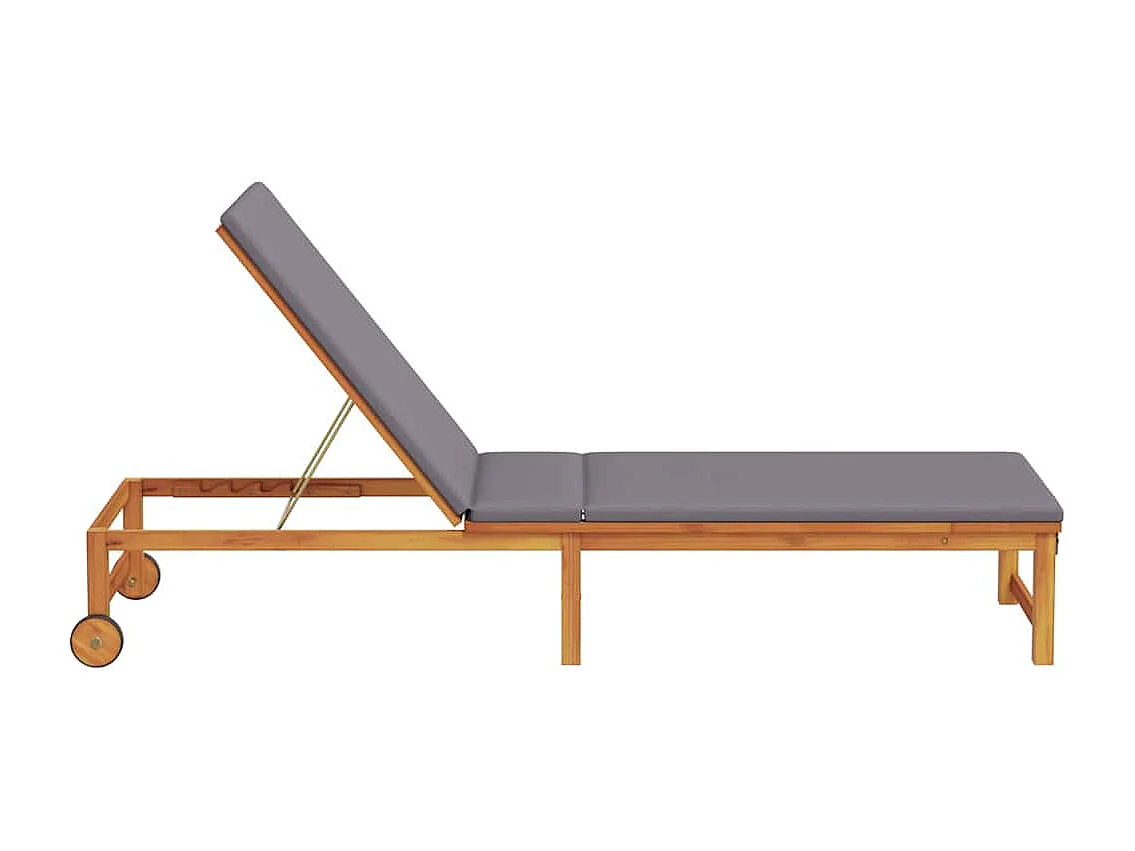 Transat 1-personne Marron 53 x 202 x 89cm Bois d'acacia massif