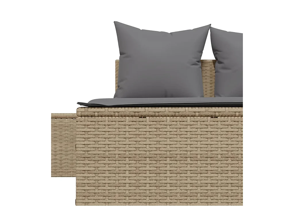 Dubbele chaise longue met beige kunsthars rieten kussens