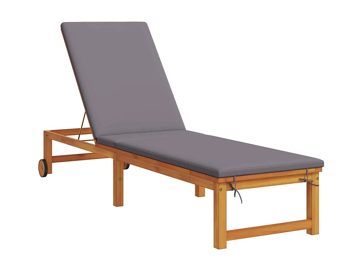 Transat 2 pcs Marron 53 x 202 x 89cm Bois d'acacia massif