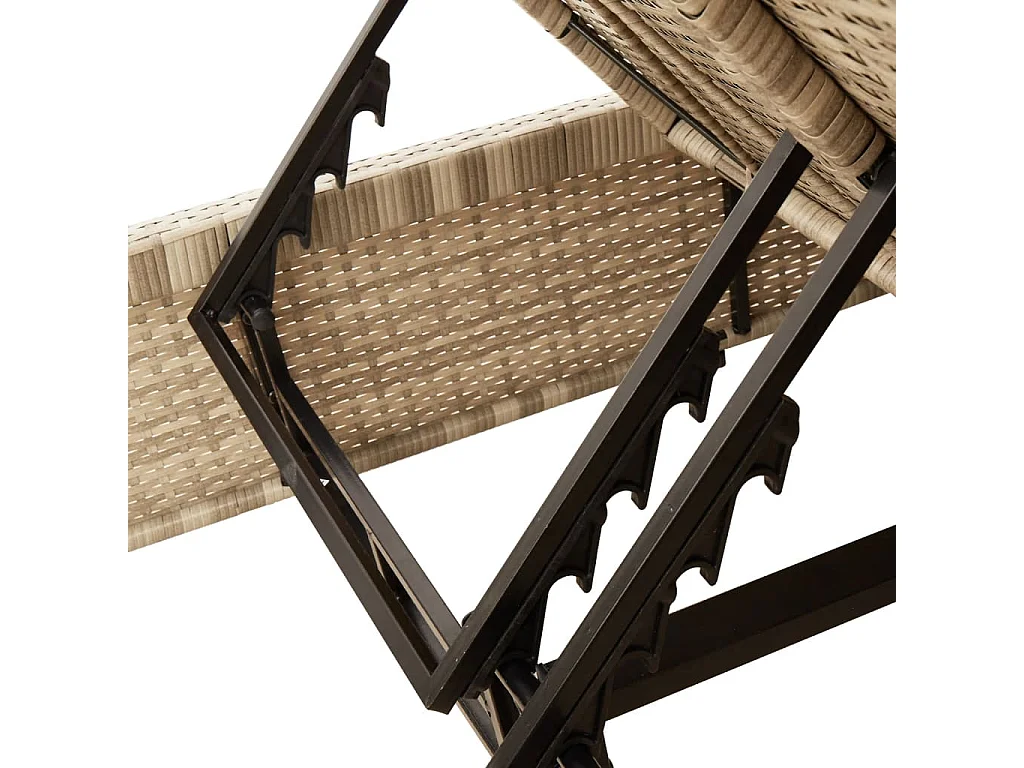 Dubbele chaise longue met beige kunsthars rieten kussens