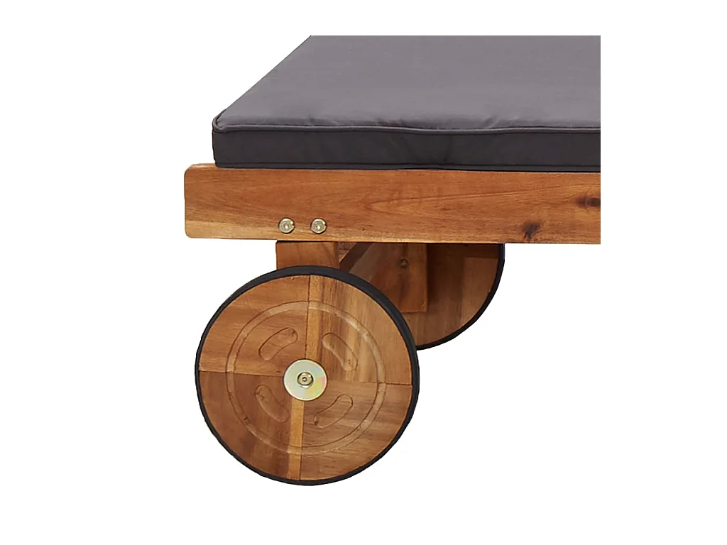 Chaise longue avec coussin bois d'acacia solide