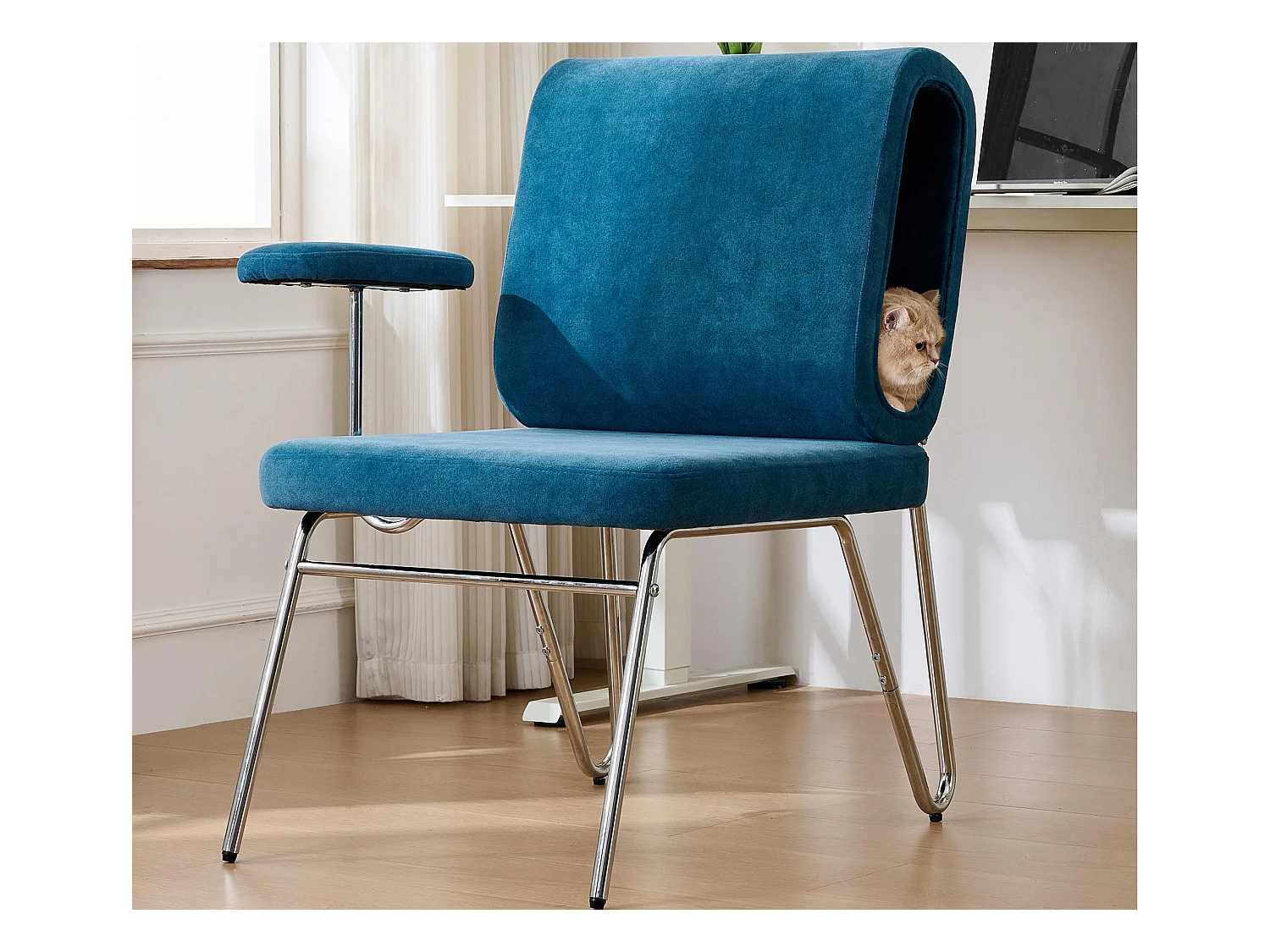Fauteuil avec trou pour chat - fauteuil large - accoudoirs interchangeables - bleu