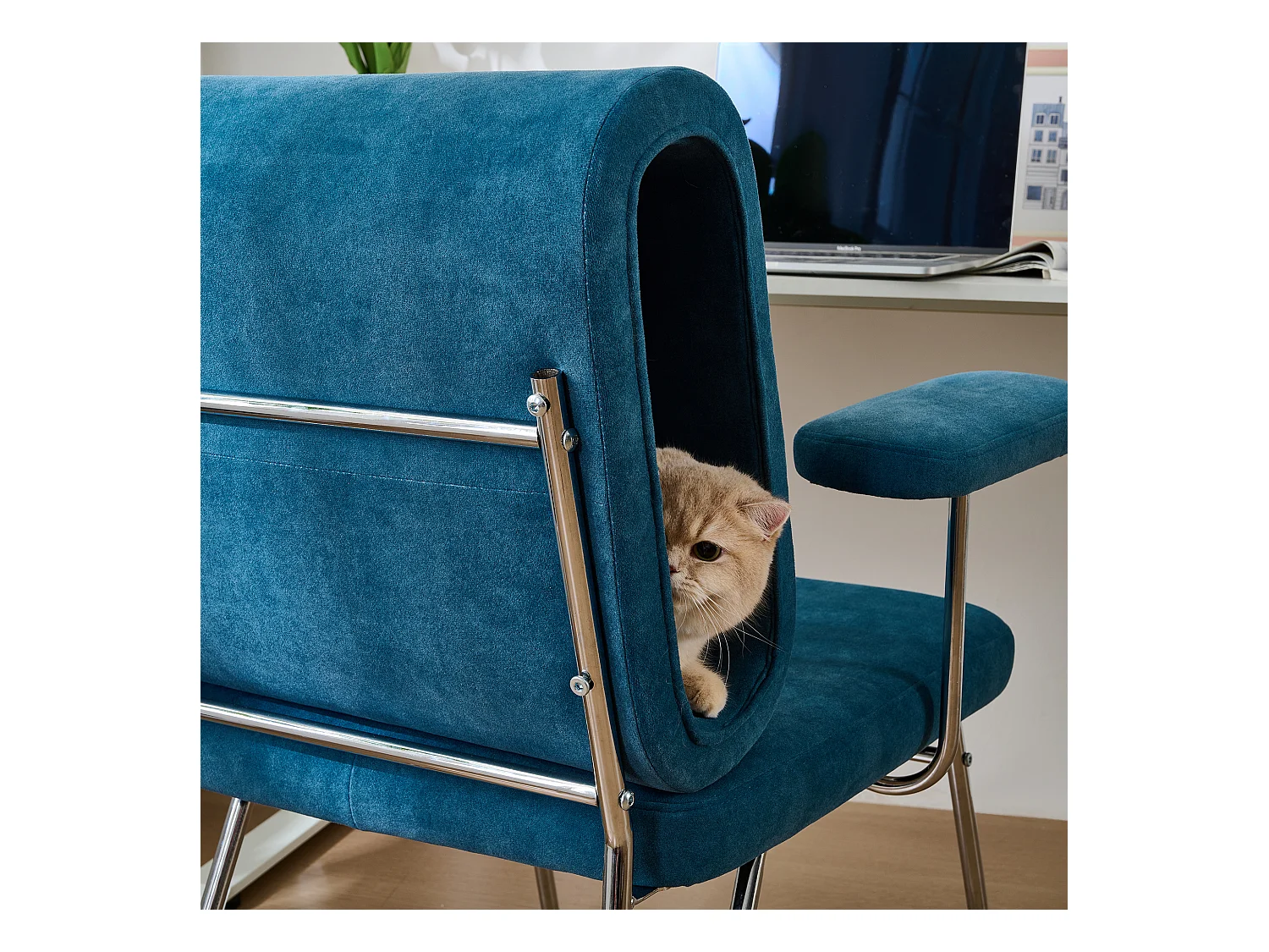 Fauteuil avec trou pour chat - fauteuil large - accoudoirs interchangeables - bleu