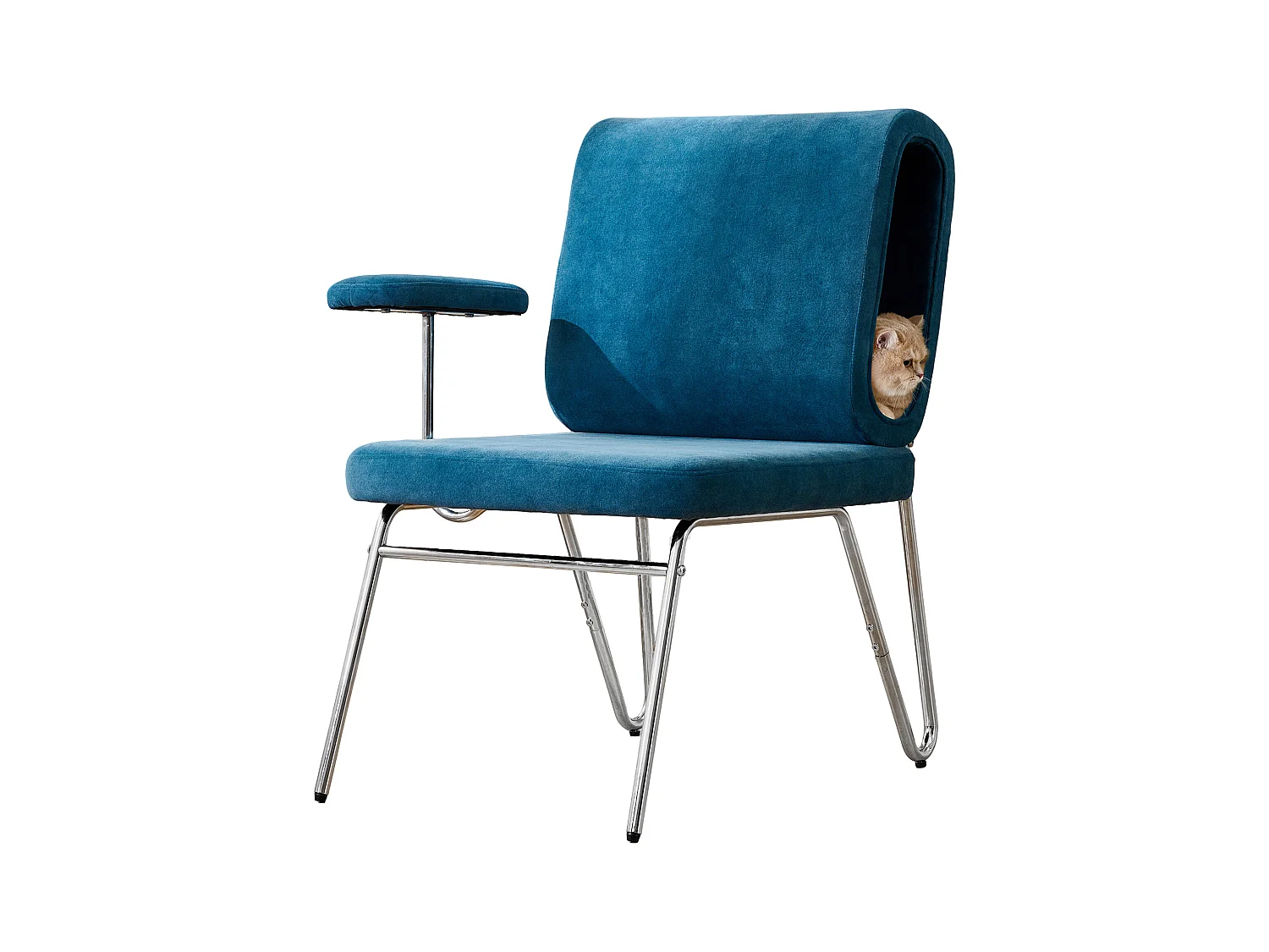 Fauteuil avec trou pour chat - fauteuil large - accoudoirs interchangeables - bleu