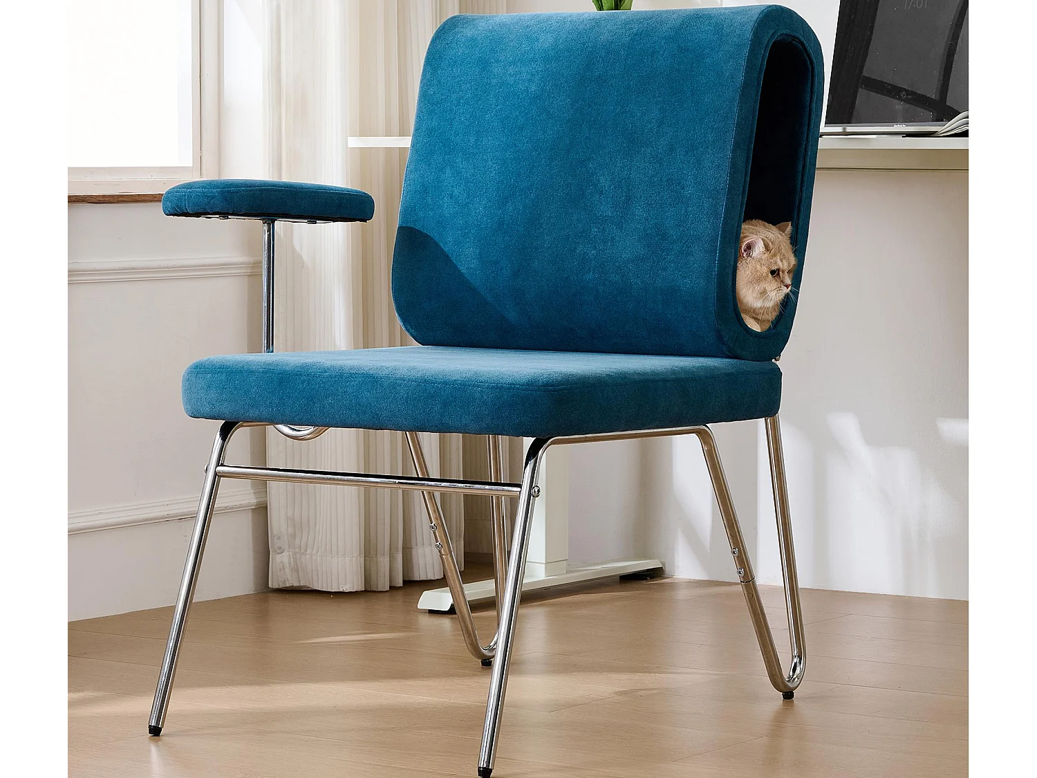 Fauteuil avec trou pour chat - fauteuil large - accoudoirs interchangeables - bleu