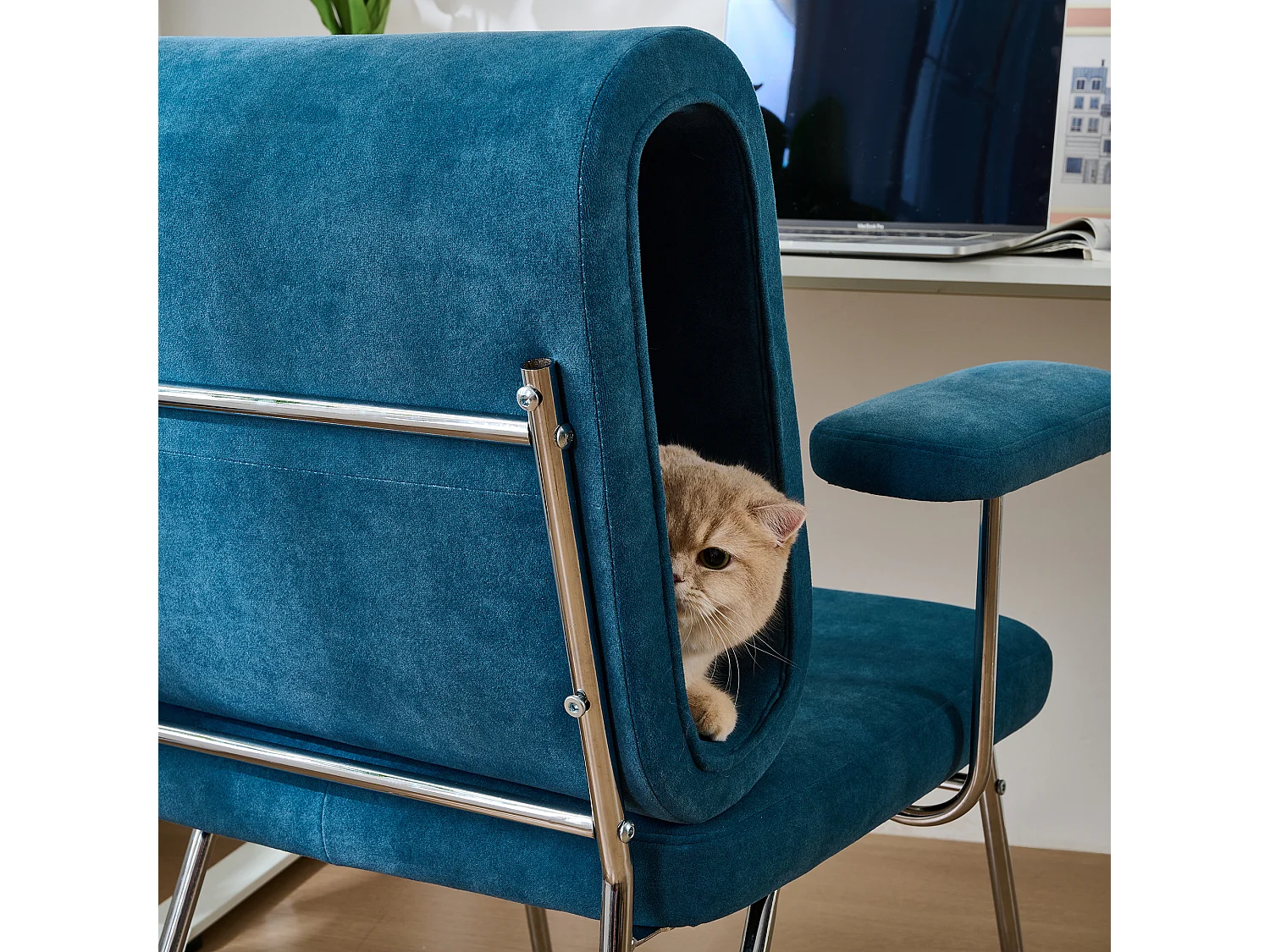 Fauteuil avec trou pour chat - fauteuil large - accoudoirs interchangeables - bleu