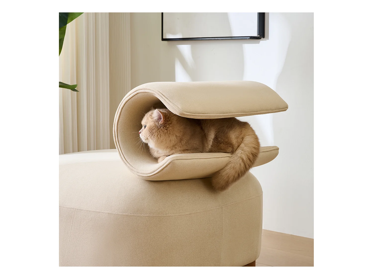 Chaise avec trou pour chat - convient aux animaux - matériau résistant aux rayures - beige