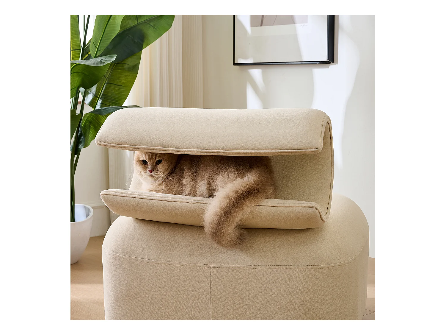 Chaise avec trou pour chat - convient aux animaux - matériau résistant aux rayures - beige