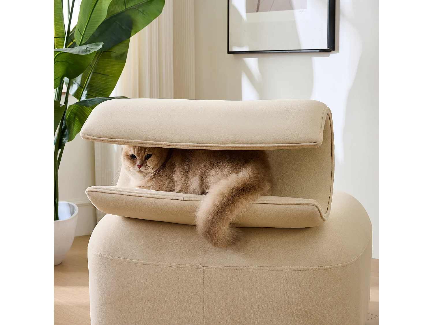 Chaise avec trou pour chat - convient aux animaux - matériau résistant aux rayures - beige